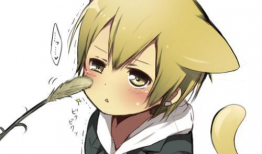 动漫高清图片大全,经典角色齐聚一堂